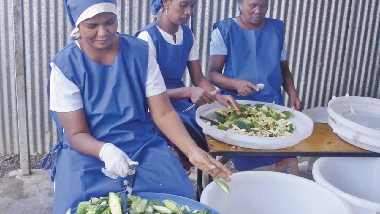 Indigenous language pamphlets SADC Gender Protocol