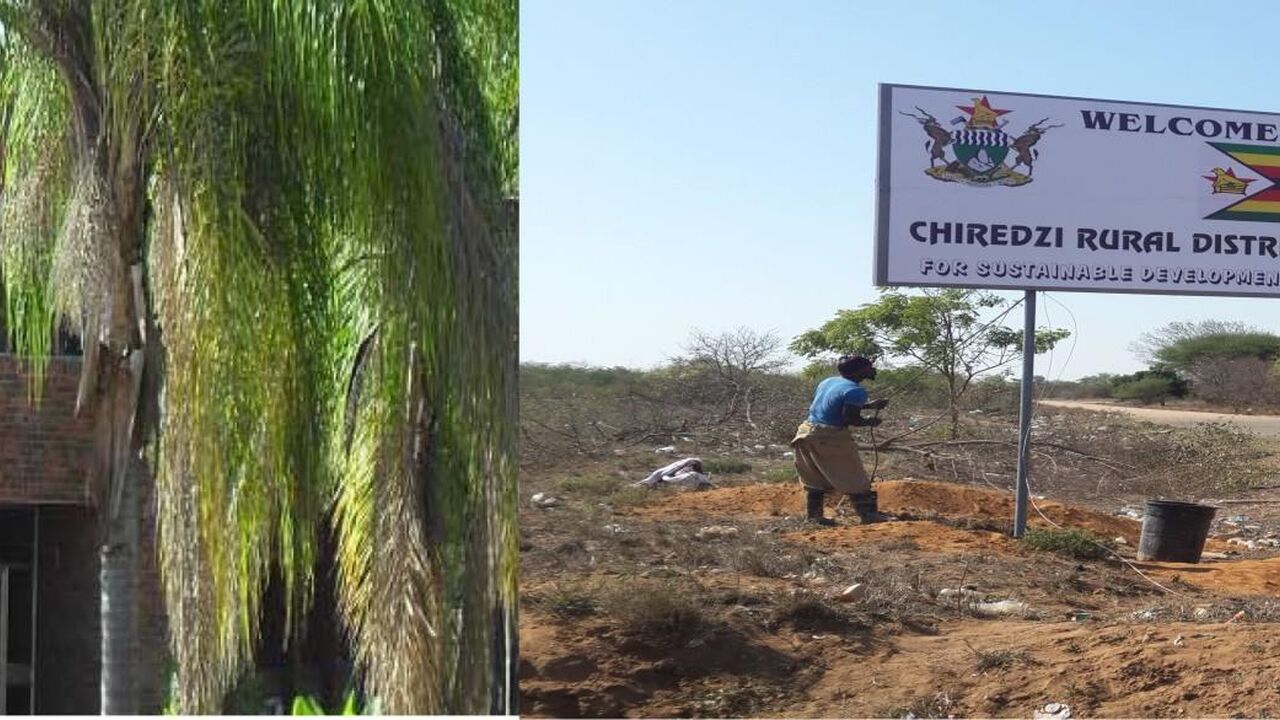 Chiredzi Rural District Council.