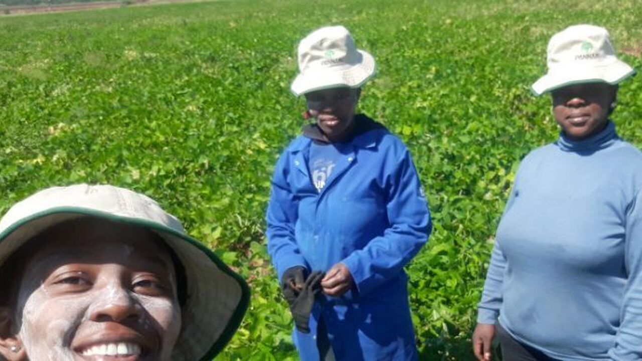 Young Women’s Entrepreneurship Challenge Africa