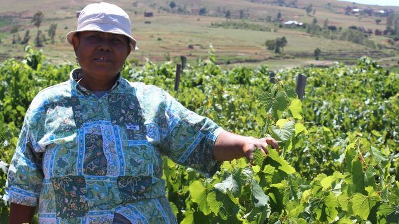 16 days celebration Andoharanomaitso council Madagascar RZ 08122018 48 700x0 crop 80