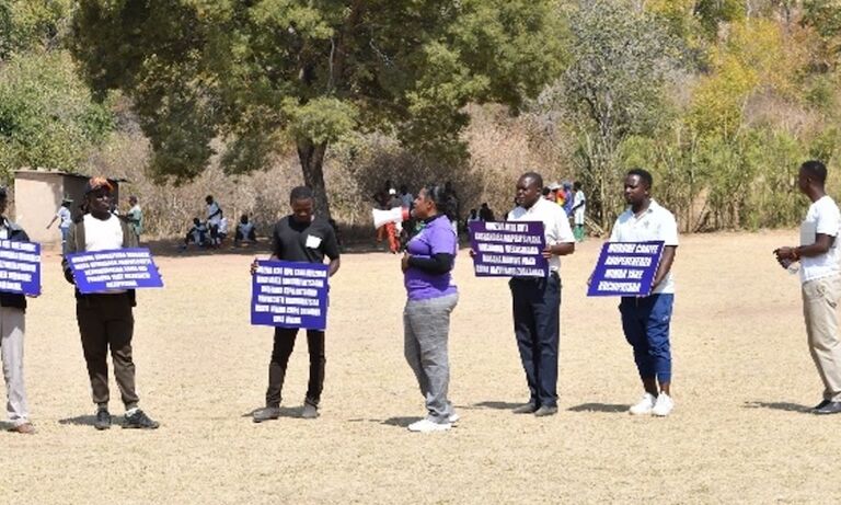 Zimbabwe: Men as allies in ending GBV