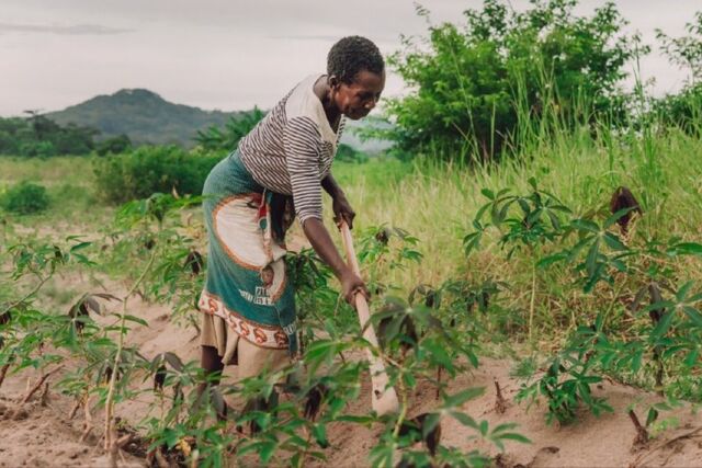 Malawi: Breaking barriers in agriculture