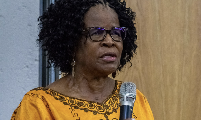 South Africa: Ambassador Thenjiwe Mtintso: A View from the Coalface