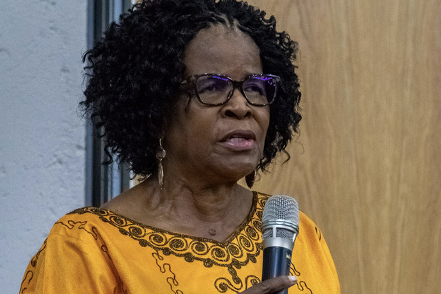 South Africa: Ambassador Thenjiwe Mtintso: A View from the Coalface