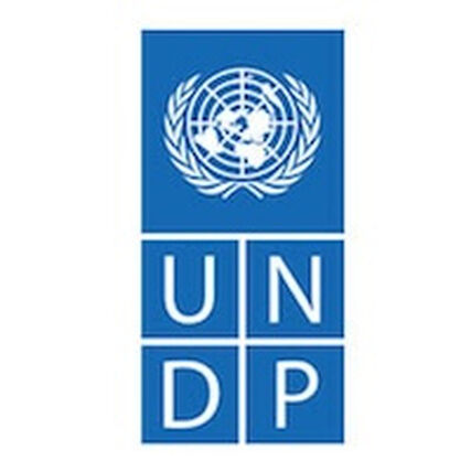 UNDP logo 0