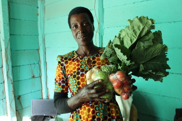 Manyame RDC verification 062019 2 700x0 crop 80