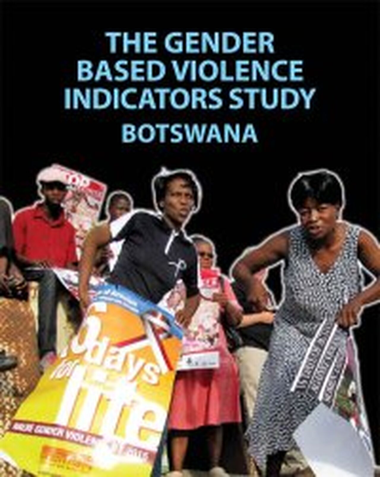 The Gender Based Violence Indicators Study Botswana