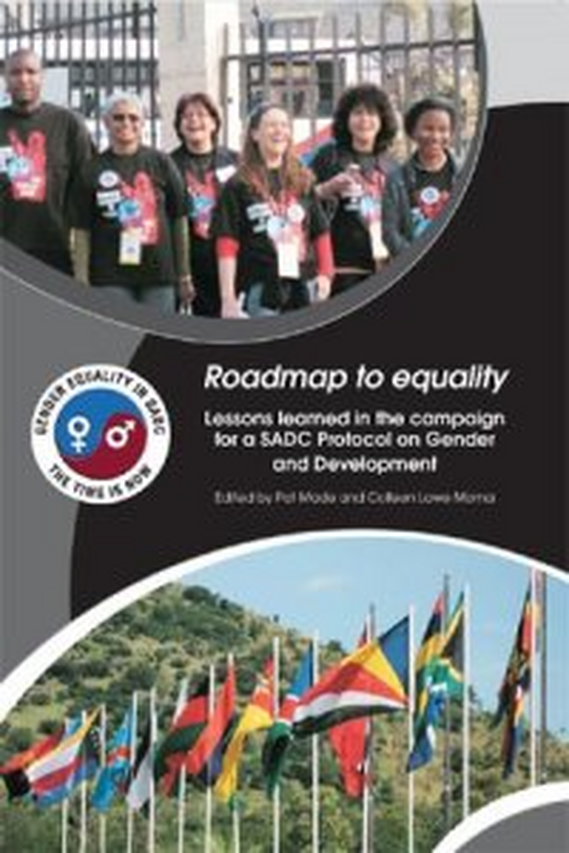 Roadmap to equality: lessons learned in the campaign for a SADC protocol on gender and development