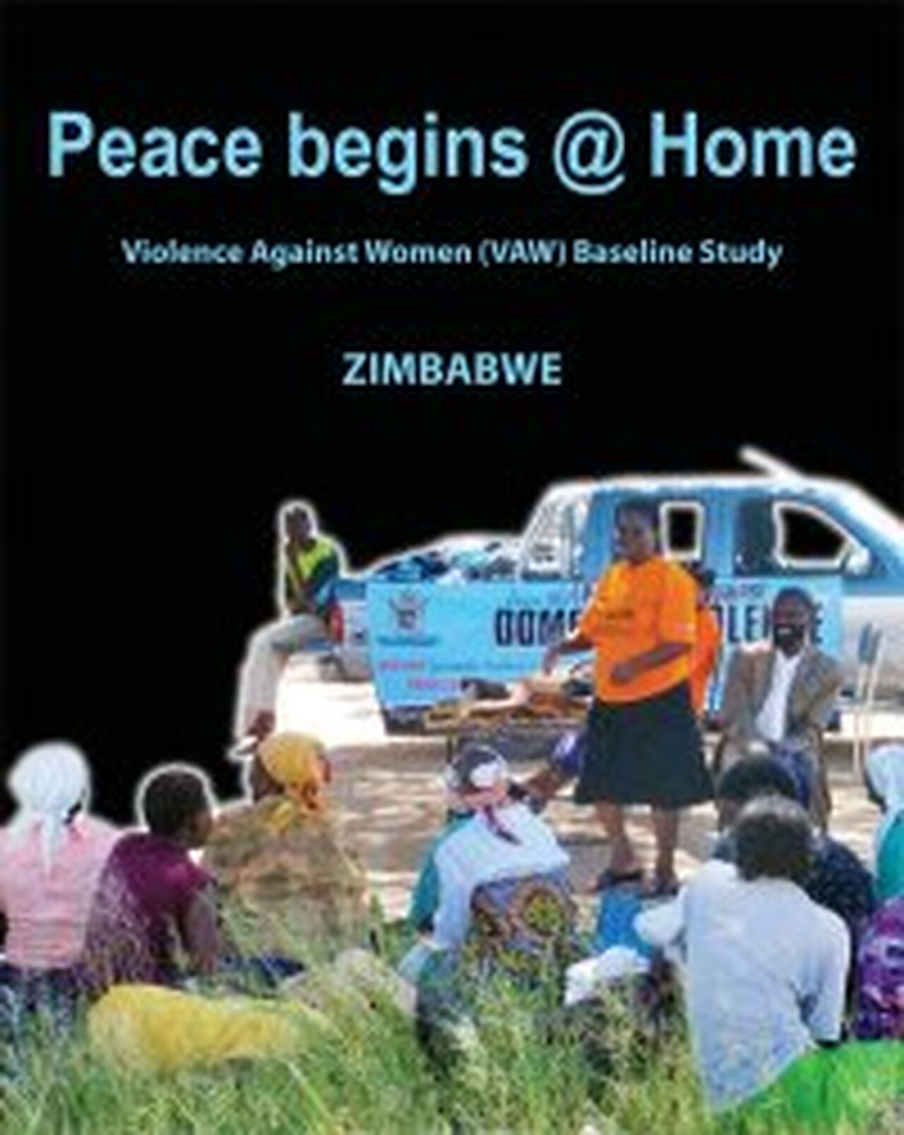 Gender-Based Violence Indicators Study - Zimbabwe