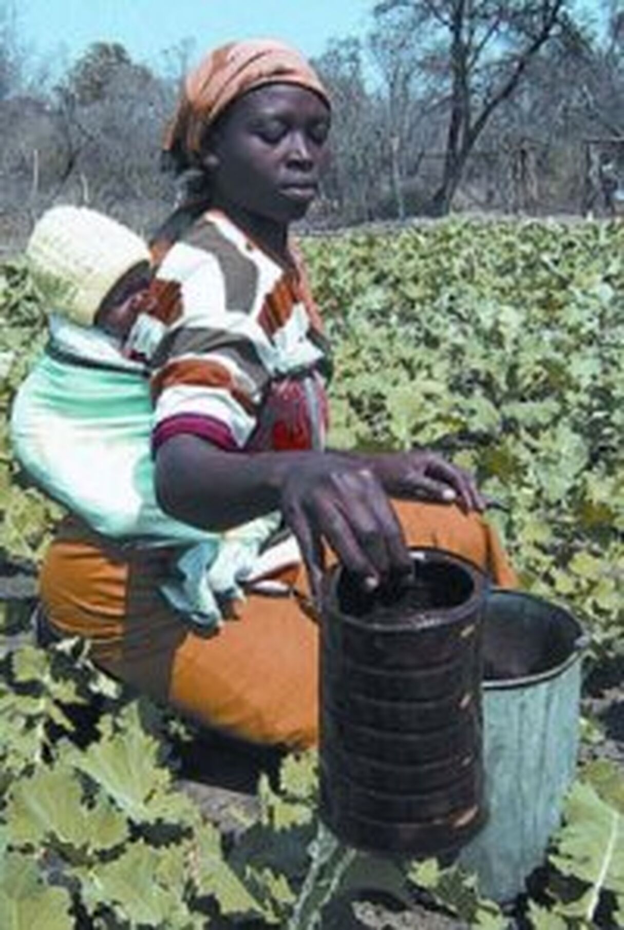 SADC Gender Protocol Barometer Baseline Study - Lesotho