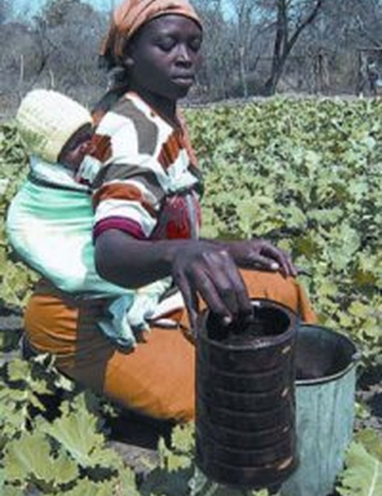 03041_resized_basothowoman