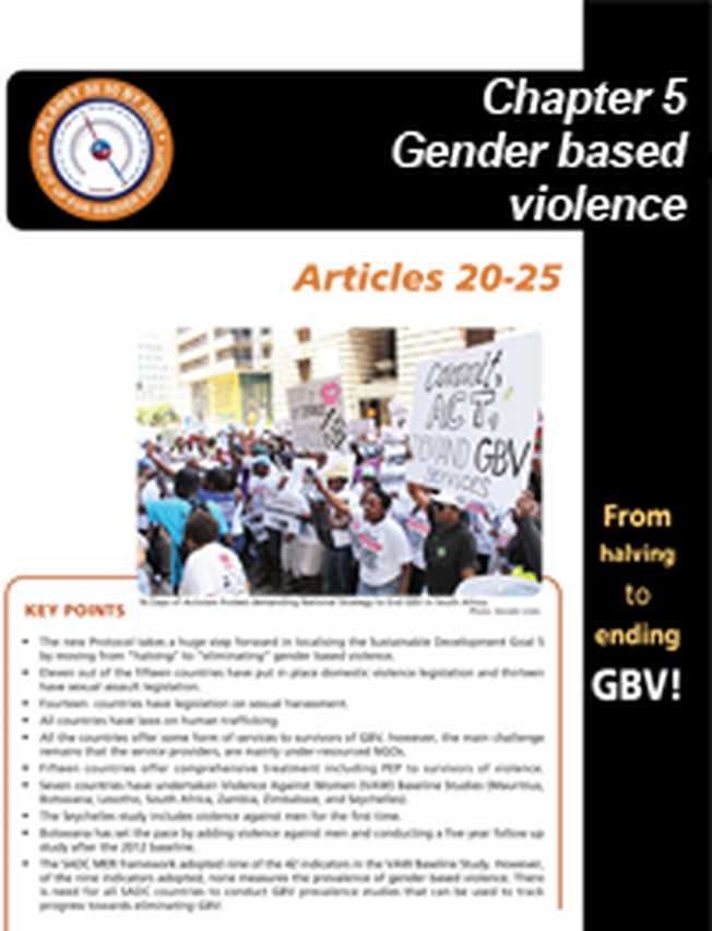 Gender based violence - SADC Barometer 2017