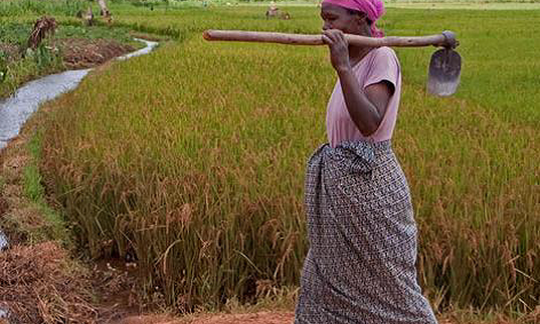 Cry my beloved daughter