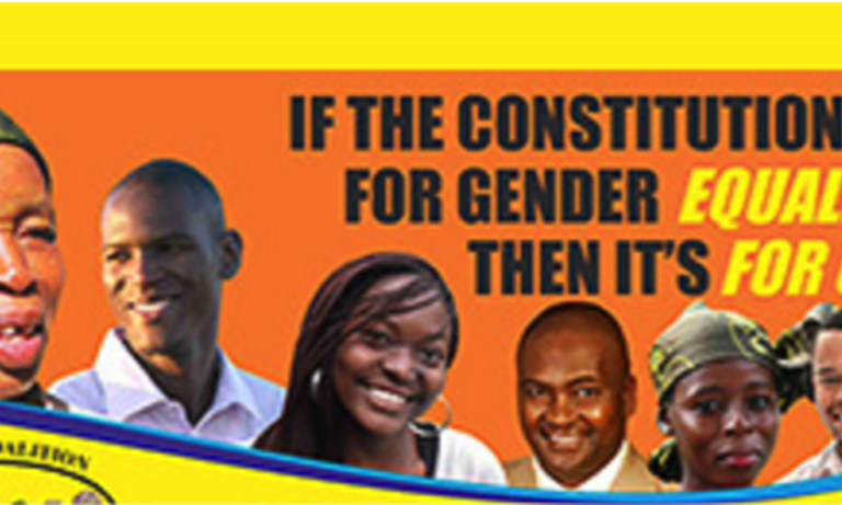 Civil society calls for gender equality in Zimbabwe
