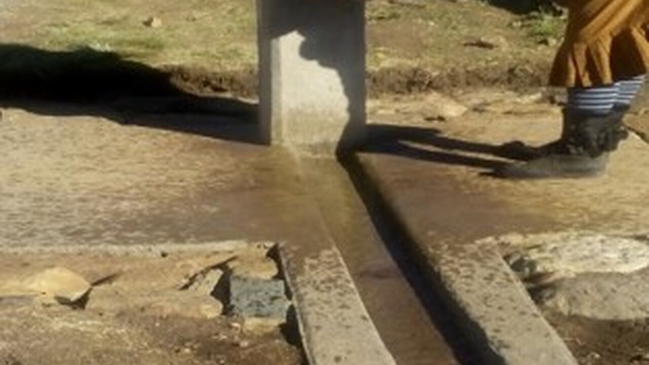 Picture1
