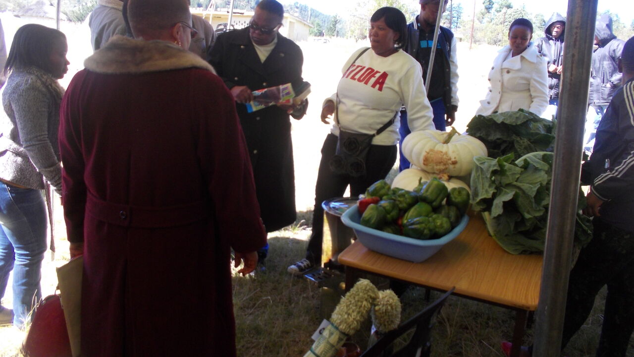 Lesotho_Qucha Nek council