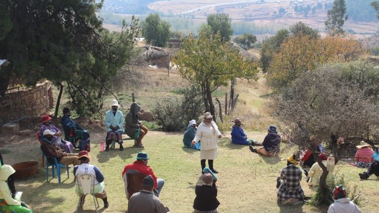 mantebo during field work