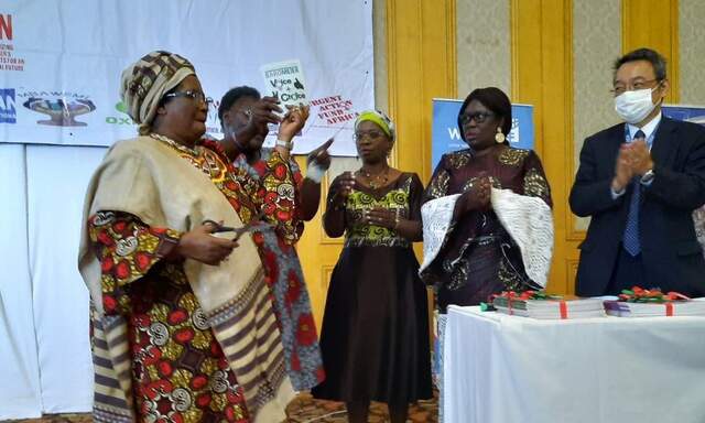 Women Voice and Leadership South Africa | Building a Feminist…