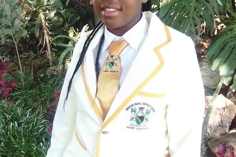 Zibagwe Rural District Council