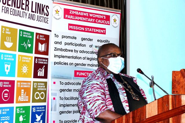 Zimbabwe: quotas alone not enough