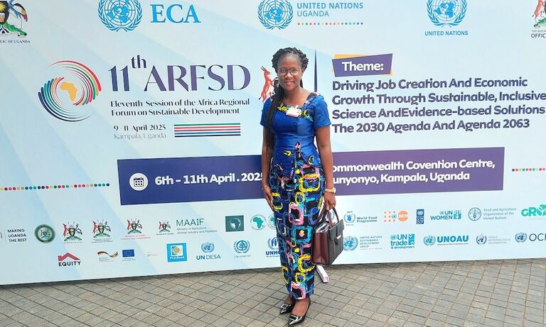 ARFSD-11: implementing SDGs for Africa