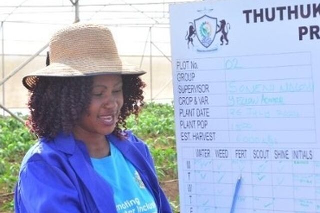 Khayelihle's journey to empower local farmers