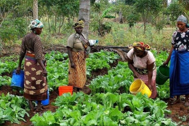 International Day of Rural Women