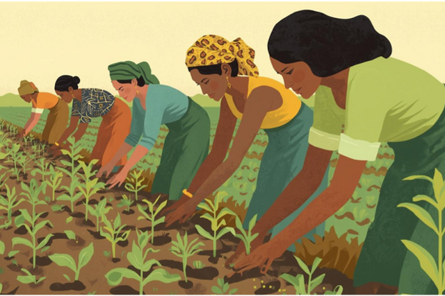Zimbabwe: Women farmers sowing seeds of equality