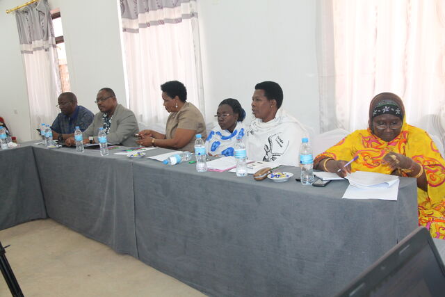 Tanzania Women in Peace Networking TAWOPE