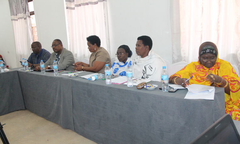 Tanzania Women in Peace Networking TAWOPE