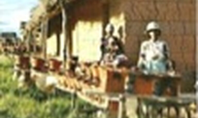 Fanatsarana ny foto-drafitrasa: fanamboarana sy fampiasana fatana mitsitsy miatrika ny fiovaovanny toe-trandro taratry ny mira lenta