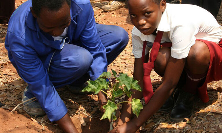 Ensure equal involvement by women and men in implementation of climate change policies and mitigatory measures.