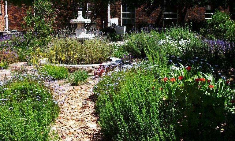 Saartjie Baartman Centre for Women and Children