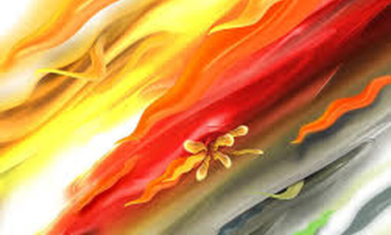 South Africa: Even the work place is not safe for women