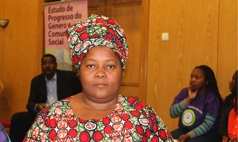 Mozambique: Gender links discute paridade de género em Moçambique Campanha 50/50