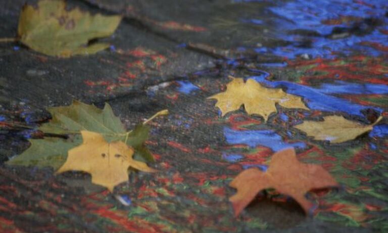 South Africa: We walked to school barefooted