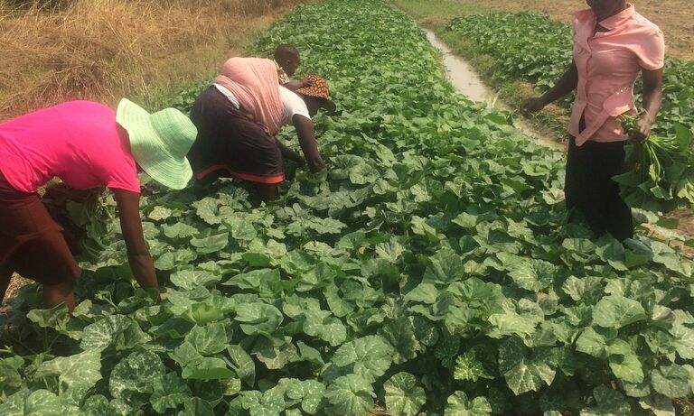 Mildret Mango - Zimbabwe