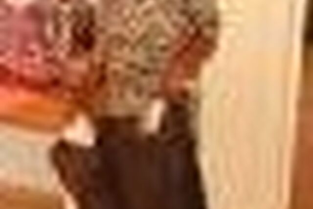 Blondine Tsuses - Namibia