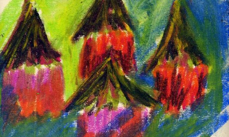 Henry Haukeya - Malawi